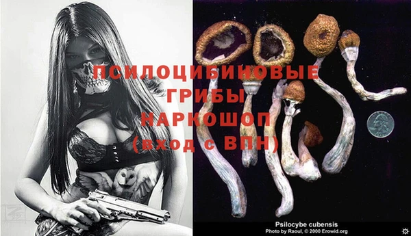 кристаллы Белокуриха