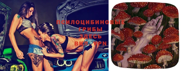 гидра Белоозёрский
