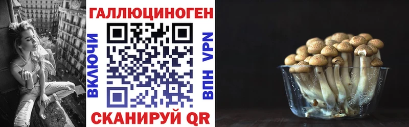 Галлюциногенные грибы GOLDEN TEACHER блэк спрут tor маркетплейс телеграм Ленск